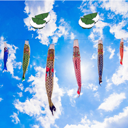 2016_koinobori-kashiwamochi