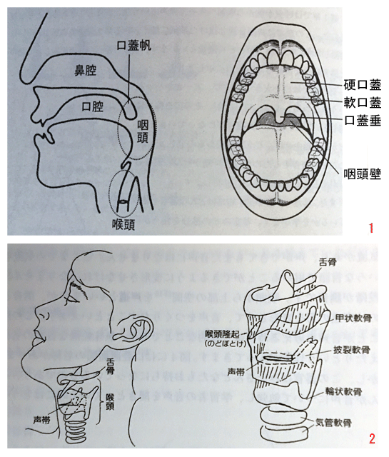 koukuu-to-nodo