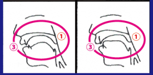 oral-masatsuon_1-3