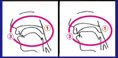 oral-masatsuon_1-3