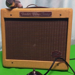 Fender VibroCamp EL