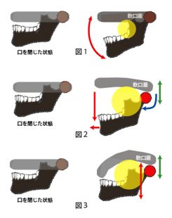 下あごの動かし方