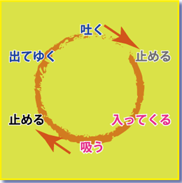 呼吸の循環図