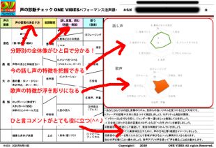 声の診断チェックシート2020