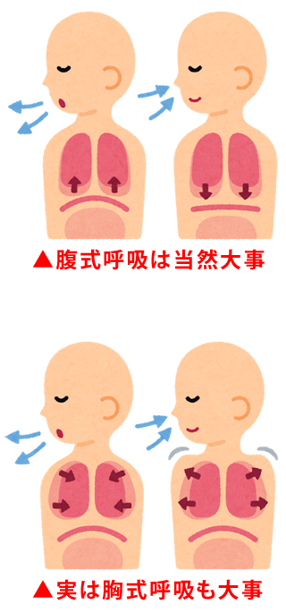 腹式大事・胸式大事