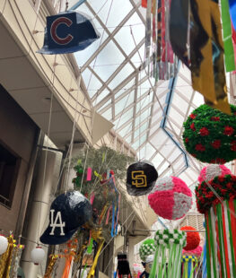 2025年69回阿佐谷七夕まつりメジャーリーグキャップ